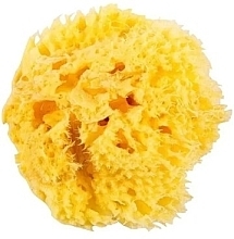 Духи, Парфюмерия, косметика Натуральная губка для ванны - Hydrea London Honeycomb Sea Sponge 3.5