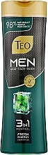 Духи, Парфюмерия, косметика Шампунь для мужчин 3в1 - Teo Men 3in1 Menthol