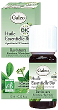 Духи, Парфюмерия, косметика Органическое эфирное масло равинтсара - Galeo Organic Essential Oil Ravintsara