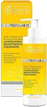 Гидролипидная эмульсия для умывания и снятия макияжа - Bielenda Professional Supremelab Barrier Renew Hydro-Lipid Emulsion For Washing And Removing Make-Up — фото N1