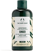 Парфумерія, косметика Кондиціонер-догляд для шкіри голови "Імбир" - The Body Shop Ginger Anti-Dandruff Conditioner