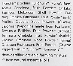 Органический шампунь-порошок "Гуарана и Ритха" - Eliah Sahil Natural Shampoo Powder for Stronger Hair Roots — фото N3