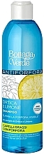 Шампунь проти лупи з екстрактами кропиви та лимона - Bottega Verde Anti-Dandruff Shampoo — фото N1