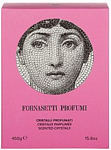 Парфумерія, косметика Ароматичні кристали "Флора" - Fornasetti