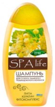 Духи, Парфюмерия, косметика Шампунь для сухих и ломких волос - Beauty Skin Shampoo