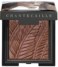 Парфумерія, косметика Тіні для повік - Chantecaille Matte Eye Shade Wild Mustang Collection