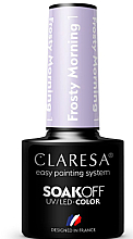 Гель-лак для ногтей - Claresa Frosty Morning Soak Off UV/LED Color — фото N1