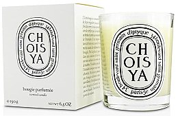 Ароматична свічка - Diptyque Choisya Candle — фото N2