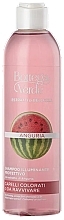 Освітлювальний захисний шампунь з екстрактом кавуна  - Bottega Verde Beauty Extracts Watermelon Brightening Protective Shampoo — фото N1