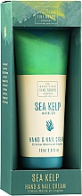 Морской СПА-крем для рук и ногтей - Scottish Fine Soaps Sea Kelp Hand & Nail Cream — фото N3