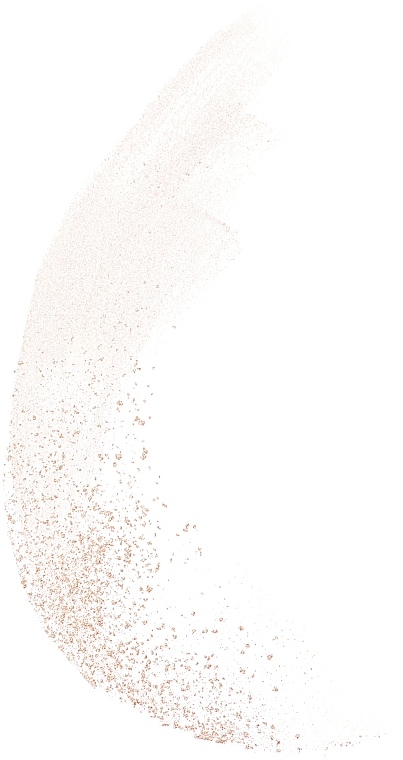 Рисовая пудра для лица - Bourjois Java Rice Powder — фото N3