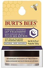 Нічний крем для губ - Burt's Bees Overnight Intensive Lip Treatment — фото N3