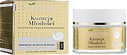 Парфумерія, косметика УЦІНКА Крем для обличчя - Bielenda Kuracja Mlodosci Cream 60+ *