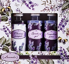 Духи, Парфюмерия, косметика Набор "Лаванда" - Bohemia Gifts Bohemia Herbs Lavender Set III (sh/gel/50ml + bath/oil/50ml + shmp/50ml)