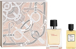 Hermes Terre d’Hermes - Набор (edt/50ml + sh/gel/40ml) — фото N1