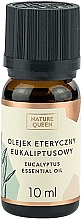 Духи, Парфюмерия, косметика Эфирное масло "Эвкалипт" - Nature Queen Essential Oil Eucalyptus