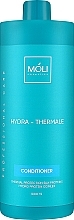 Кондиционер "Hydra-Thermale" термозащита с протеинами шелка и гидро-протеиновым комплексом - Moli Cosmetics — фото N2