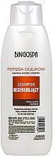 Парфумерія, косметика Шампунь аргановий - BingoSpa Argan Shampoo