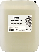 Парфумерія, косметика Живильний і зволожувальний шампунь з ароматом мигдалю - Renee Blanche Bheyse Shampoo
