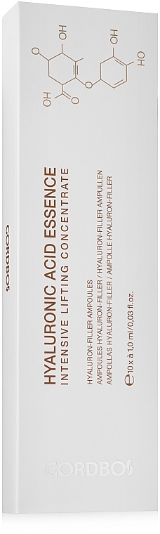 ПОДАРУНОК! Гіалуронова кислота в ампулах - Gordbos Hyaluronic Acid Essence — фото N1