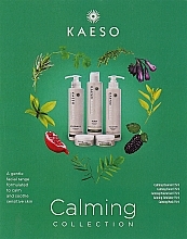 Духи, Парфюмерия, косметика Набор, 5 продуктов - Kaeso Calming Collection