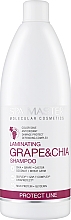 Ламинирующий шампунь для защиты волос с виноградом и чиа - Spa Master Laminating Shampoo — фото N3