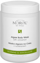 Маска альгинатная для тела с корицей - Norel Algae body mask with cinnamon — фото N3