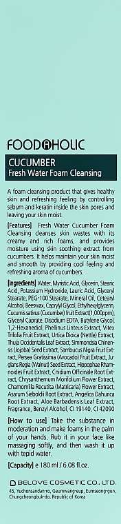 Пенка для умывания лица с экстрактом огурца - Food a Holic Cucumber Fresh Water Foam Cleansing — фото N5