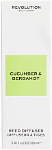 Аромадифузор для будинку "Огірок і бергамот" - Makeup Revolution Home Cucumber & Bergamot Reed Diffuser — фото N2