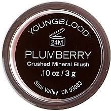 Рассыпчатые минеральные румяна - Youngblood Crushed Mineral Blush — фото N4