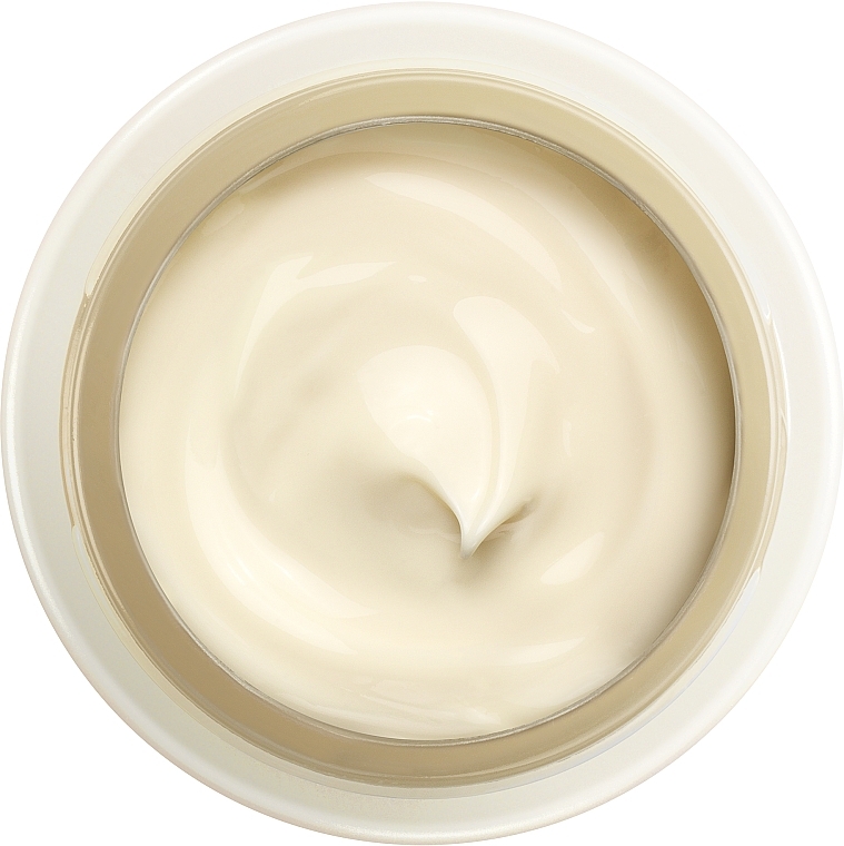 Денний крем - Shiseido Benefiance NutriPerfect Day Cream SPF 15  — фото N3