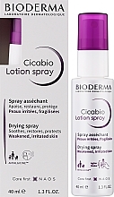 УЦЕНКА Восстанавливающий спрей-лосьон - Bioderma Cicabio Lotion Spray * — фото N2