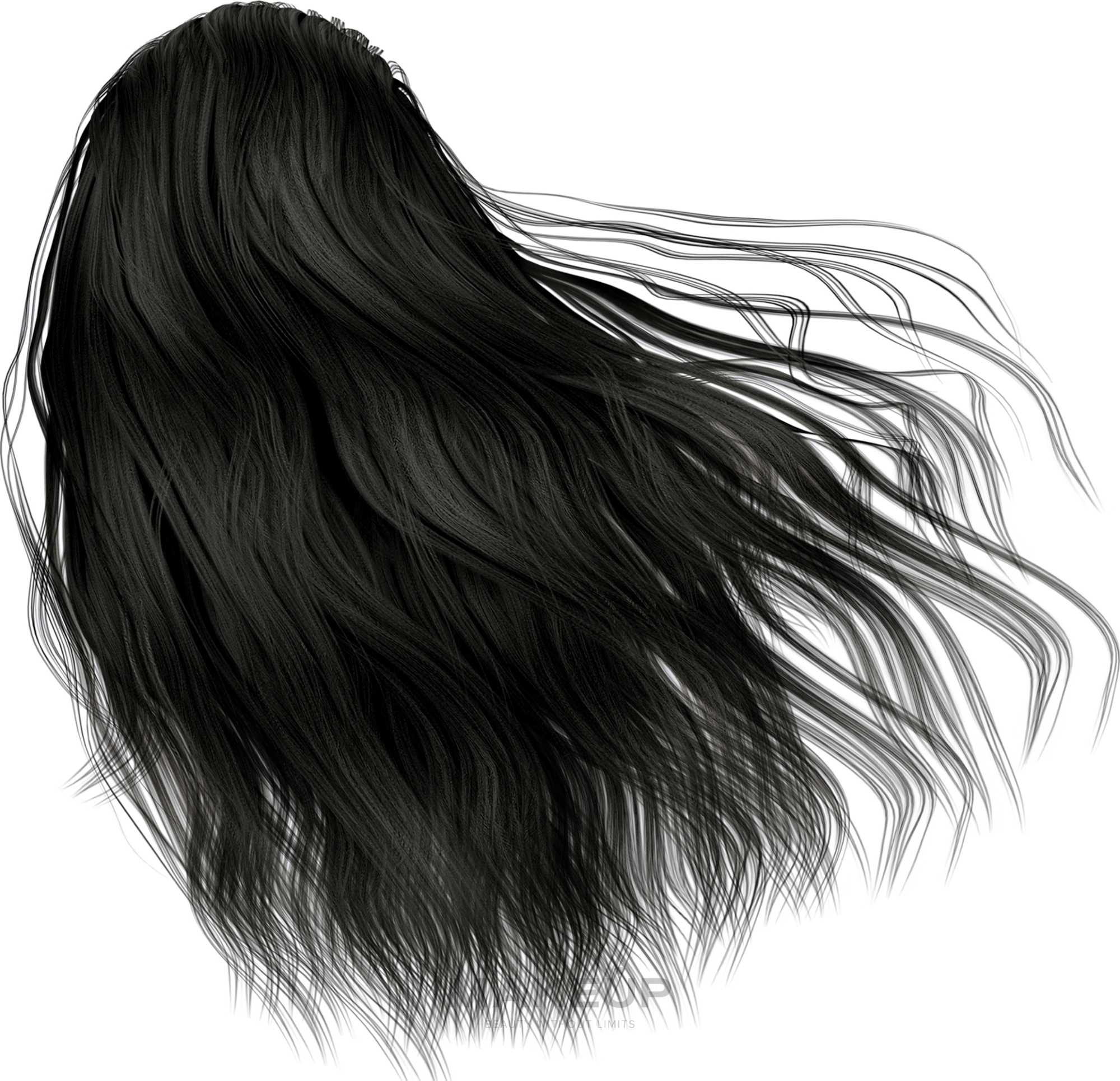 Крем-краска для волос - Erayba Equilibrium Hair Color Cream — фото 1/10 - Пепельный черный