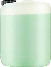 Тропічний шампунь для щоденного застосування - Dott. Solari Science & Welness Tropical Shampoo For Daily Use Salon Size — фото N2