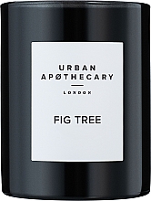 Urban Apothecary Fig Tree - Ароматична свічка — фото N1