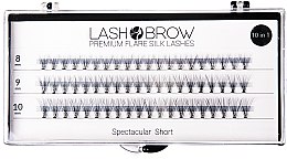 Духи, Парфюмерия, косметика Накладные ресницы - Lash Brown Premium Flare Silk Lashes Spectacular Short
