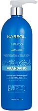 Шампунь для волосся "Чорниця" - Kareol Blueberry Anti-Aging Shampoo — фото N2