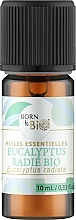 Органічна ефірна олія "Евкаліпт променистий" - Born to Bio Aromatherapie — фото N1