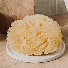 Натуральная морская губка "Honeycomb Sea Sponge", 8.9 см - Hydrea London — фото N2