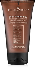 Духи, Парфюмерия, косметика Шампунь для окрашенных волос - Philip Martin's Colour Maintenance Shampoo (мини)