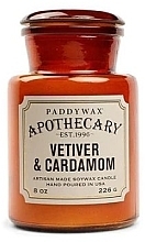 Ароматическая свеча в банке - Paddywax Apothecary Artisan Made Soywax Candle Vetiver & Cardamom — фото N1