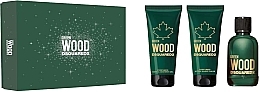 Парфумерія, косметика Dsquared2 Green Wood Pour Homme - Набір (edt/100ml + sh/gel/100ml + ash/balm/100ml)