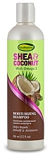 Парфумерія, косметика Зволожувальний шампунь "Масло ши та кокос" - Sofn Free GroHealthy Shea & Coconut Moisturizing Shampoo