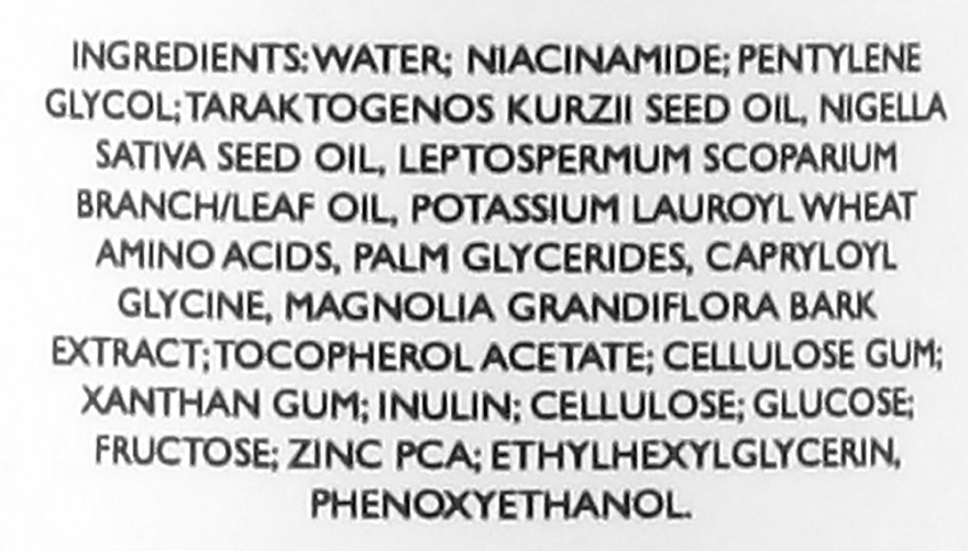Противовоспалительная сыворотка с ниацинамидом и цинком - Fabulous Skincare More Than Words B3 + Zink Serum — фото N3
