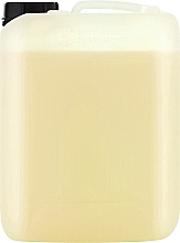 Шампунь с кератином для сухих и поврежденных волос - Dott. Solari Restorative Caramel Shampoo Salon Size — фото N2
