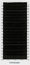 Накладные ресницы "Elite", черные, 20 линий (0,07, D, 11), эко упаковка - Vivienne — фото N1