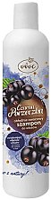 Духи, Парфюмерия, косметика Шампунь для волос с экстрактом черной смородины и протеином шелка - Ovoc Czarna Porzeczka Szampon