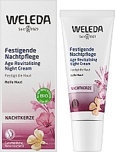 Ночной крем для зрелой кожи - Weleda Evening Primrose Age Revitalizing Night Cream — фото N2