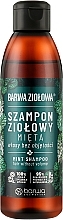 Трав'яний шампунь з м'ятою - Barwa Herbal Mint Shampoo — фото N1