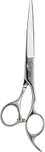 Ножиці перукарські, 6.0 - SPL Professional Hairdressing Scissors 90025-60 — фото N1